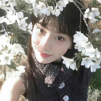 好莱坞